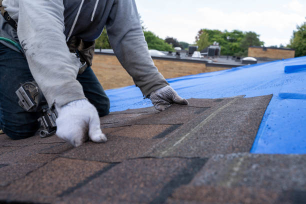 Best Commercial Roofing Services  in Buffalo, WY