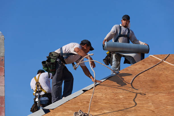 Best Metal Roofing Contractor  in Buffalo, WY