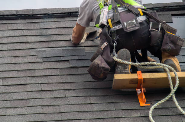 Best Shingle Roofing Installation  in Buffalo, WY