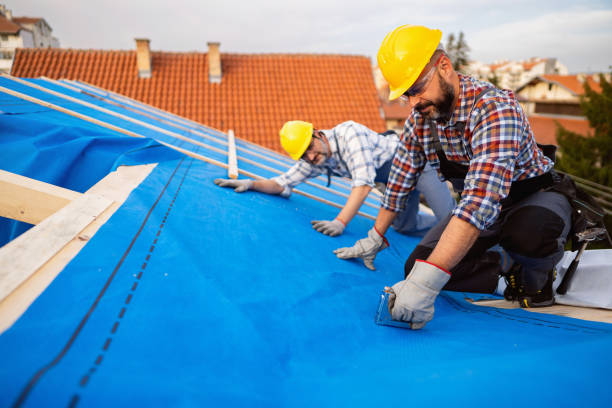 Best Shingle Roofing Installation  in Buffalo, WY