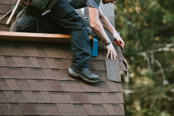 Best Gutter Installation and Roofing  in Buffalo, WY